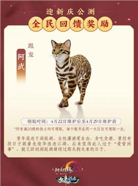 神器版本 天龙八部私服